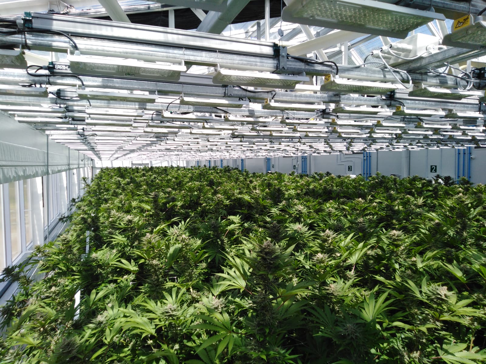 Small or Large Crops